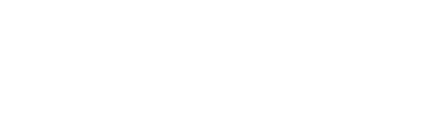 opseu pension plan trust fund